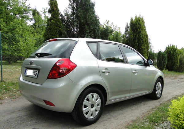 Kia Ceed cena 11900 przebieg: 146123, rok produkcji 2007 z Korsze małe 232